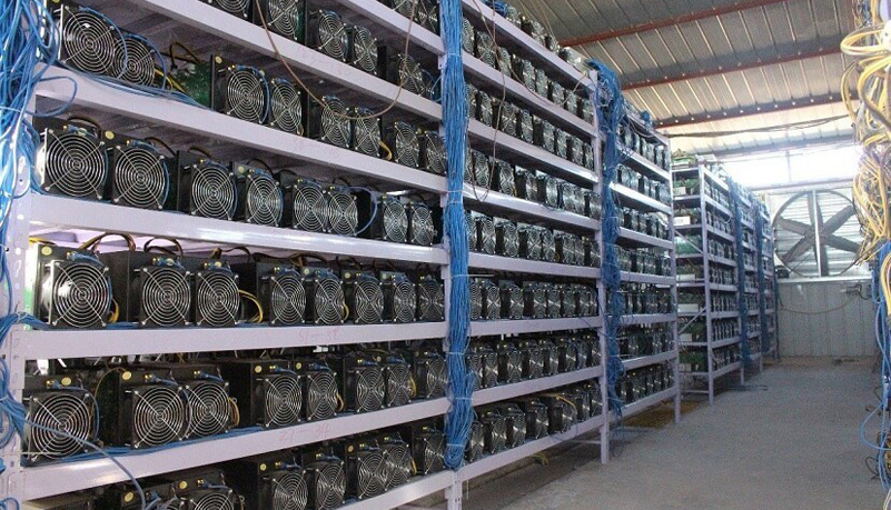 WhatsMiner
